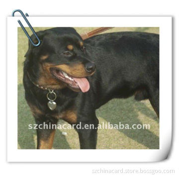 Heart-shaped Cool Metal Dog ID Tag for pets